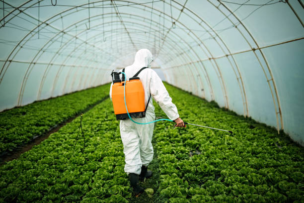 Best Mosquito Control Services  in North Wantagh, NY