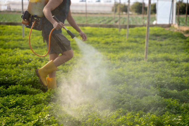 Reliable North Wantagh, NY Pest Control Solutions
